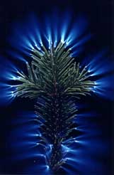 Излучение растений