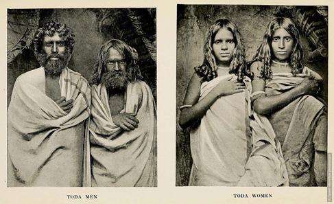 Деревня тоддов